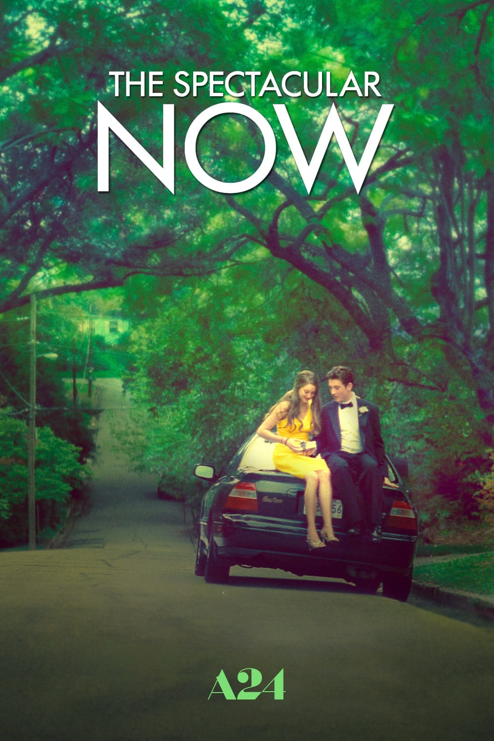 The Spectacular Now (2013) [35426] (A1702173398) [[Movies]] --Plex--